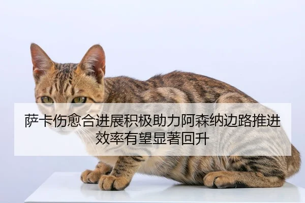 萨卡伤愈合进展积极助力阿森纳边路推进效率有望显著回升 - World Cup 2026