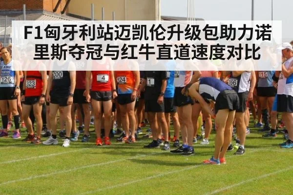 F1匈牙利站迈凯伦升级包助力诺里斯夺冠与红牛直道速度对比（World Cup 2026）