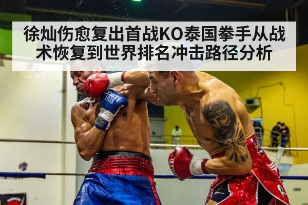 徐灿伤愈复出首战KO泰国拳手从战术恢复到世界排名冲击路径分析（World Cup 2026）