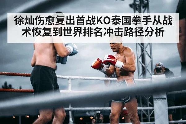 boxer world ranking fight