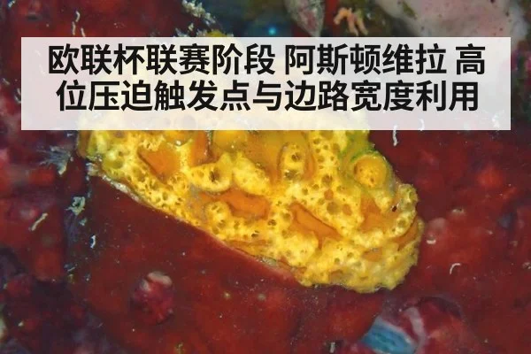欧联杯联赛阶段 阿斯顿维拉 高位压迫触发点与边路宽度利用（World Cup 2026）